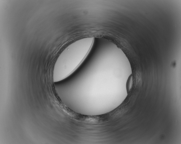 X0000114690236200910211101