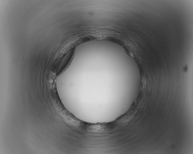 X0000114690237200910211101