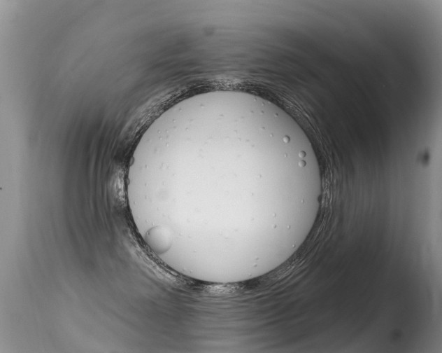 X0000114690238200910211101