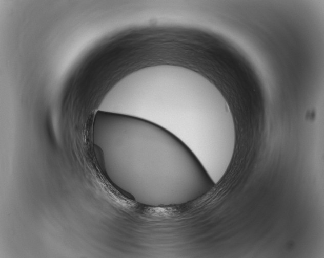 X0000114690239200910211101