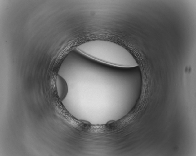 X0000114690240200910211101