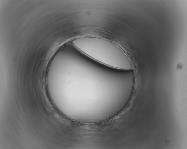 X0000114690241200910211100