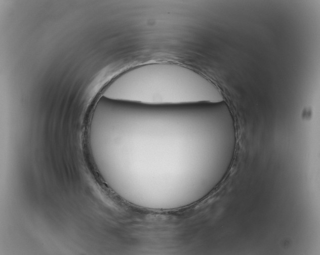 X0000114690242200910211100