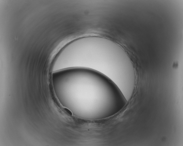 X0000114690244200910211100