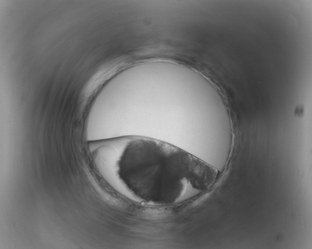X0000114690245200910211100