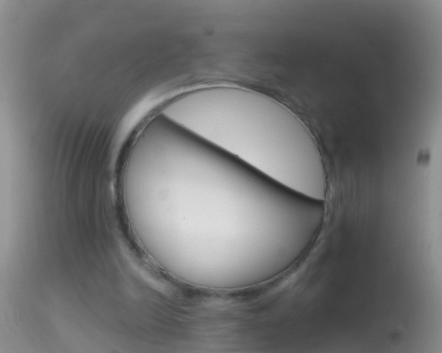 X0000114690246200910211100