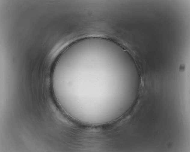 X0000114690247200910211100