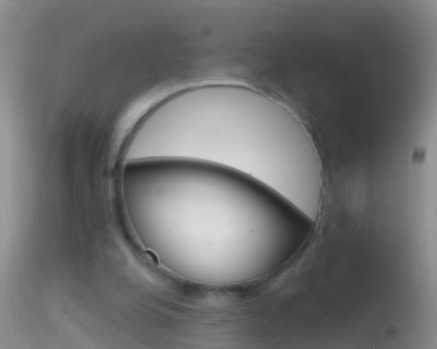X0000114690248200910211100