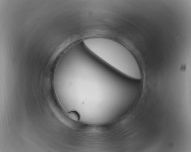 X0000114690250200910211100