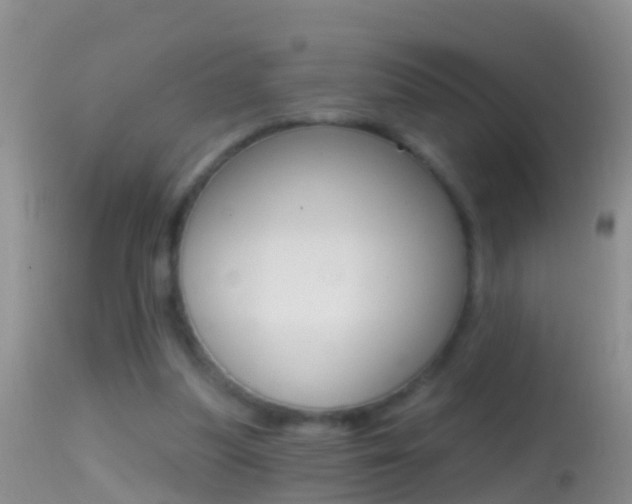 X0000114690251200910211100