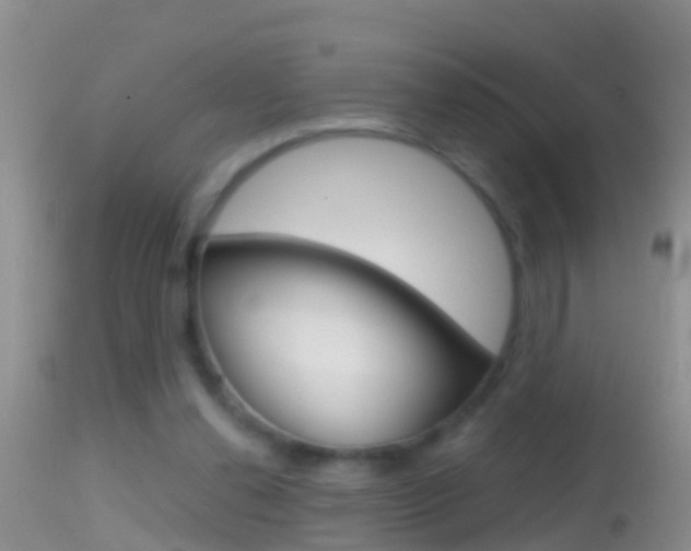 X0000114690252200910211100