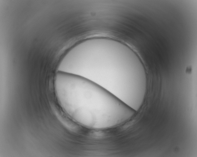 X0000114690253200910211100