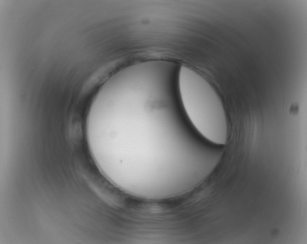X0000114690254200910211100