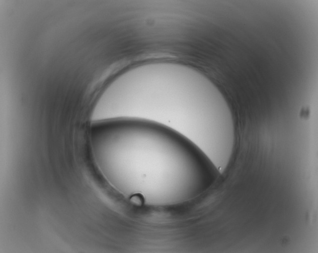 X0000114690256200910211100
