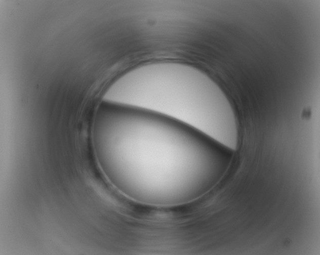 X0000114690260200910211100