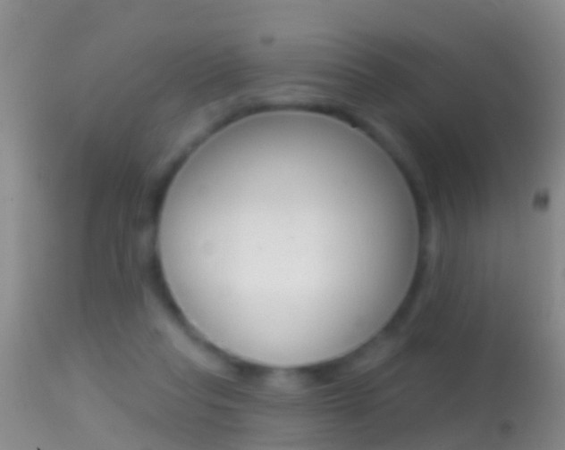 X0000114690261200910211100