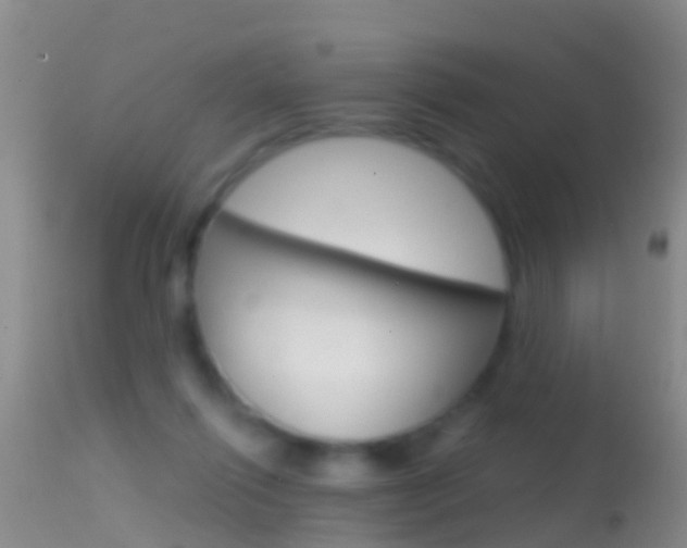 X0000114690262200910211100