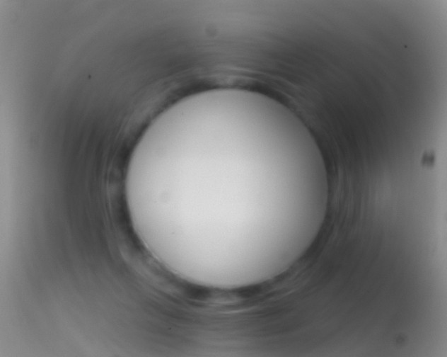X0000114690263200910211100