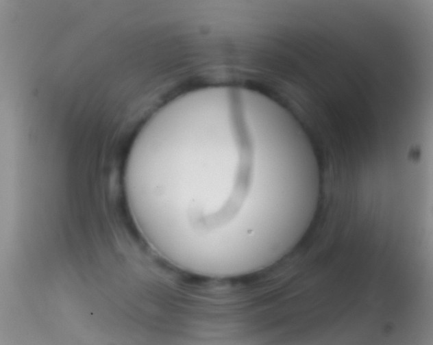 X0000114690267200910211101