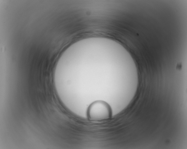 X0000114690268200910211101