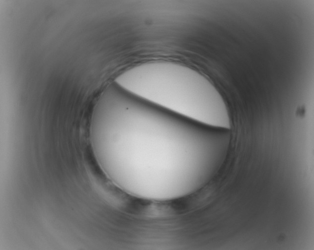 X0000114690270200910211101