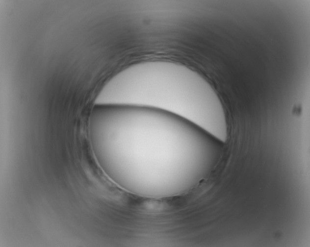 X0000114690272200910211101