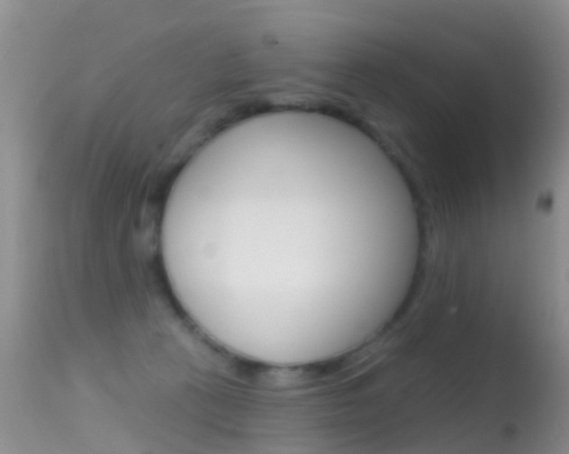 X0000114690273200910211101