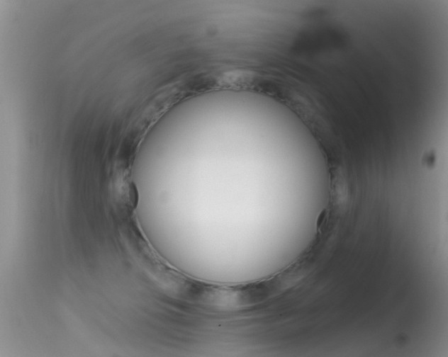 X0000114690276200910211101