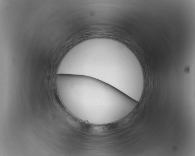 X0000114690277200910211101