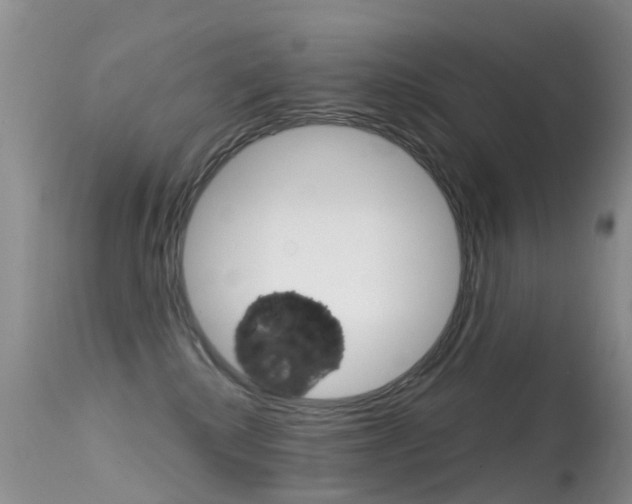 X0000114690280200910211101