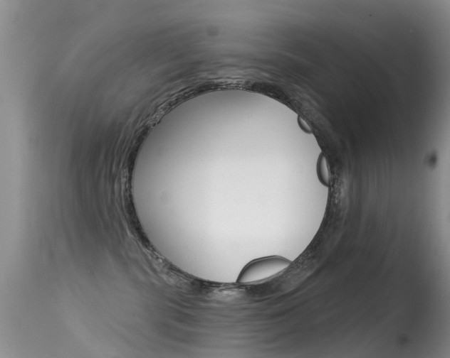 X0000114690283200910211101