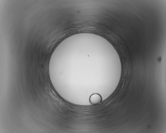 X0000114690284200910211101