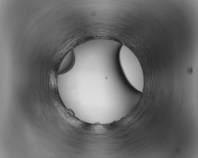 X0000114690287200910211101