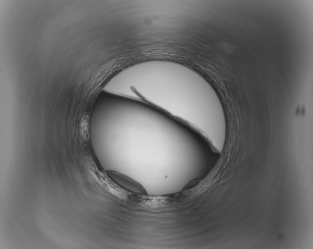 X0000114690288200910211101