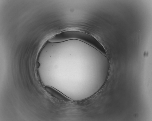 X0000114690289200910211100