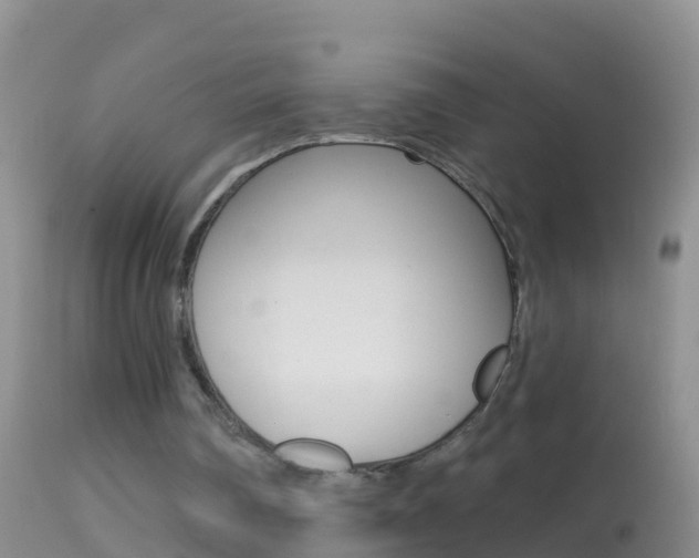 X0000114690290200910211100