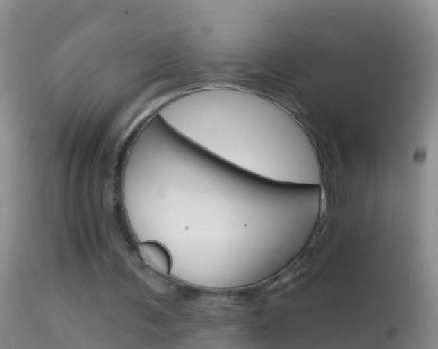 X0000114690291200910211100