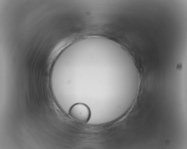 X0000114690293200910211100