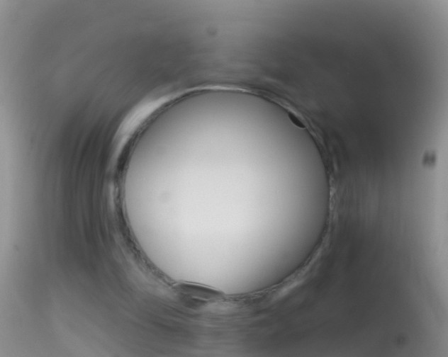 X0000114690294200910211100
