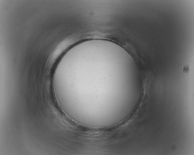 X0000114690295200910211100