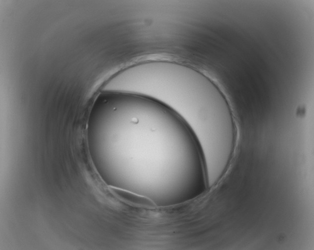 X0000114690297200910211100