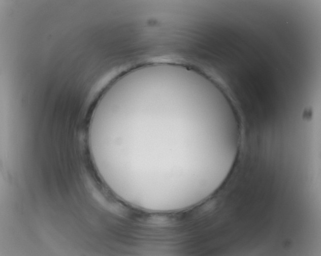 X0000114690298200910211100
