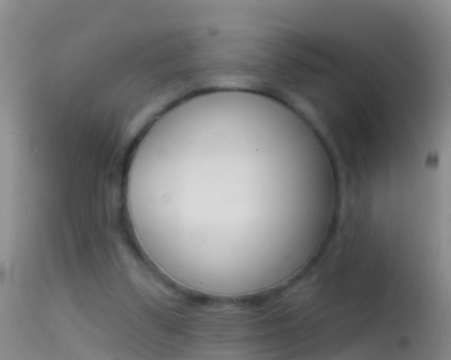 X0000114690299200910211100