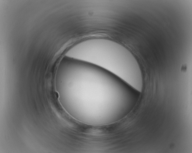 X0000114690300200910211100