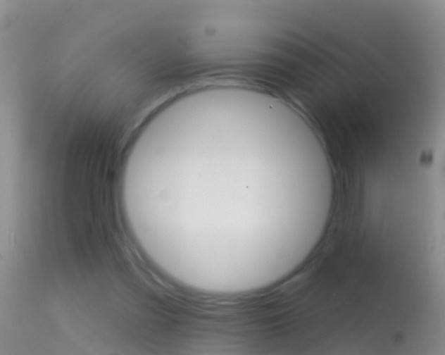 X0000114690301200910211100