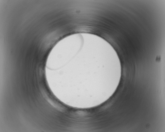 X0000114690302200910211100