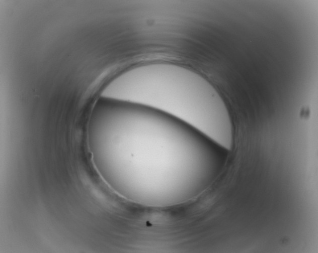 X0000114690304200910211100