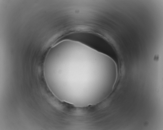 X0000114690305200910211100
