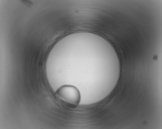 X0000114690308200910211100