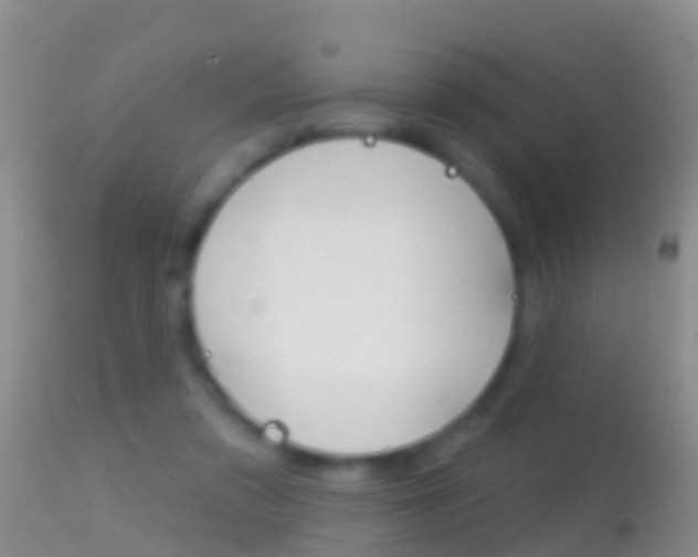 X0000114690309200910211100